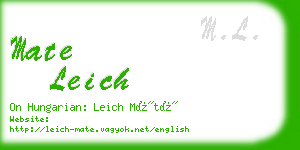 mate leich business card
